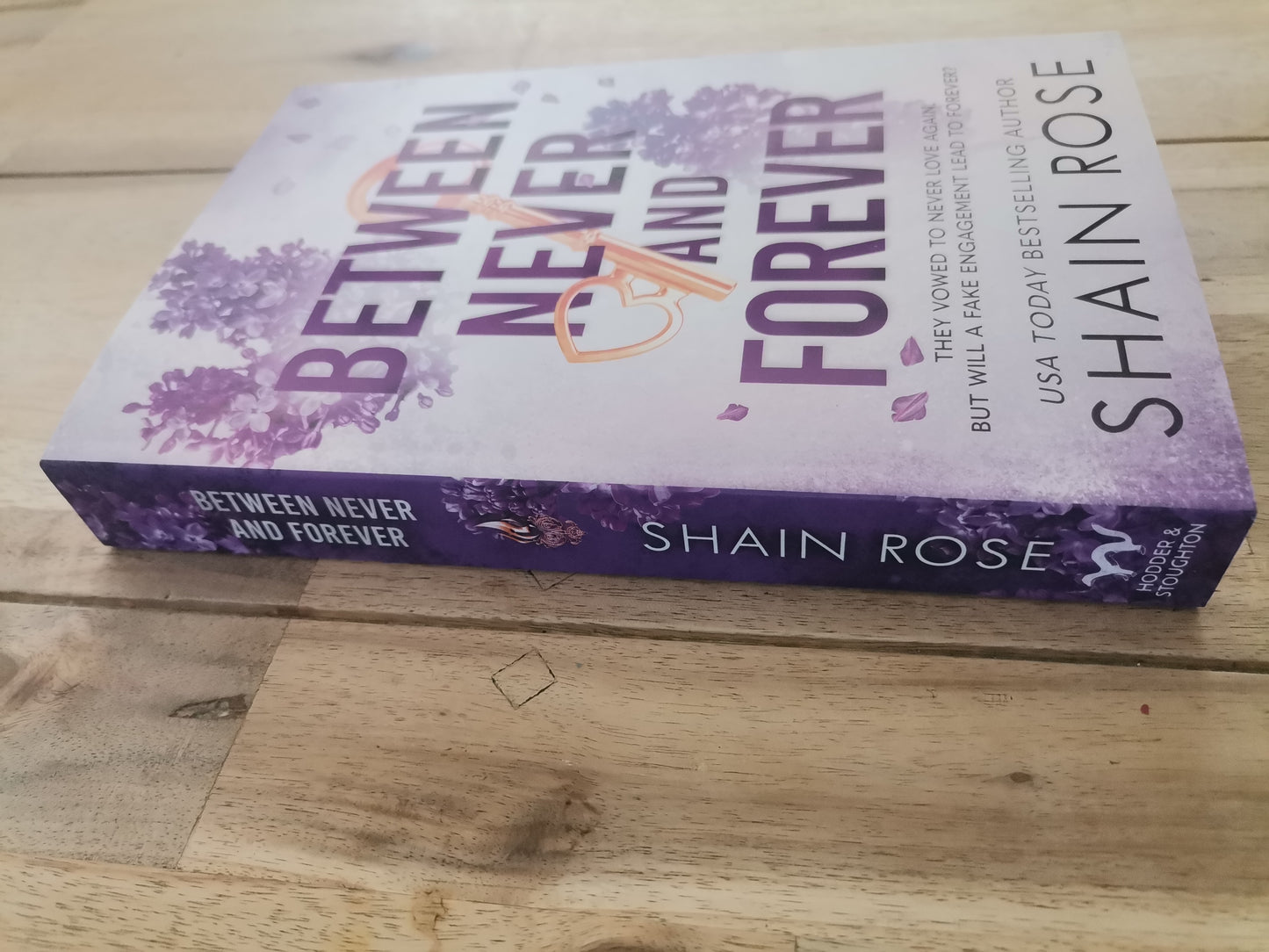 Between Never and Forever by Shaine Rose