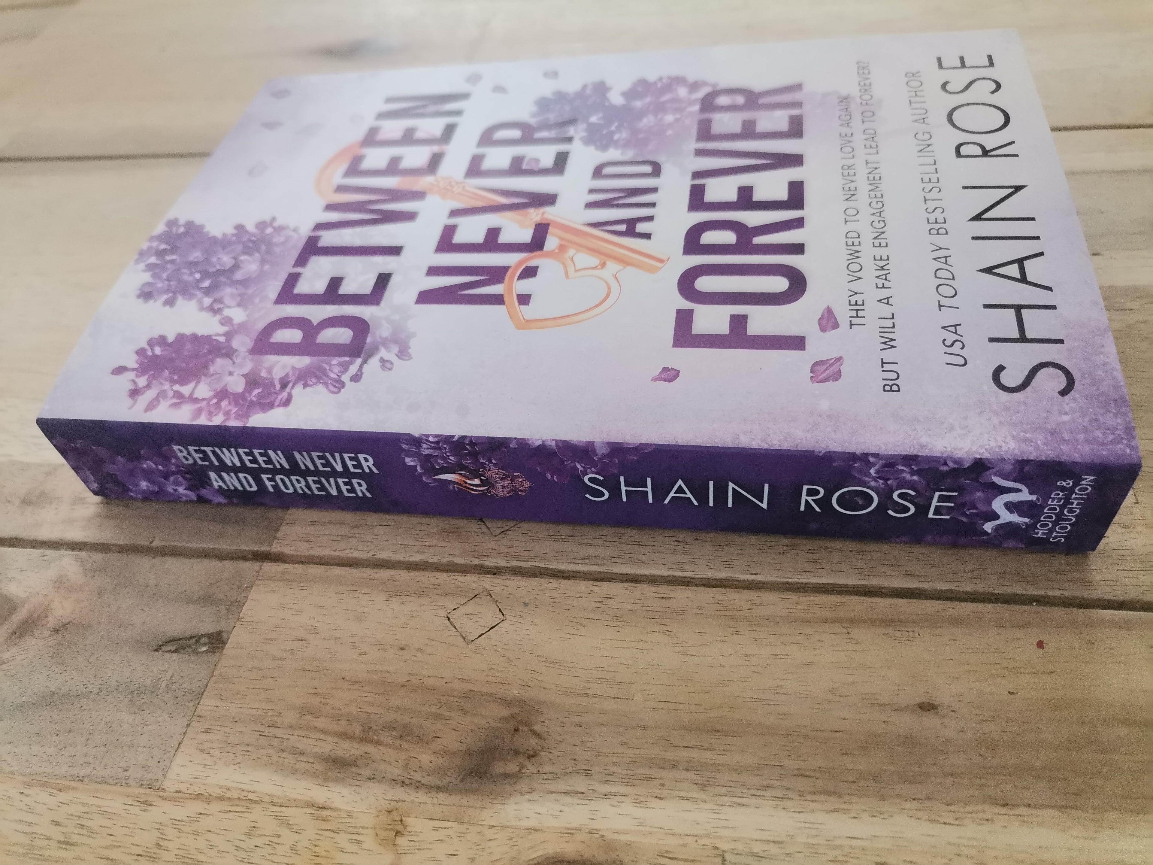 Between Never and Forever by Shaine Rose