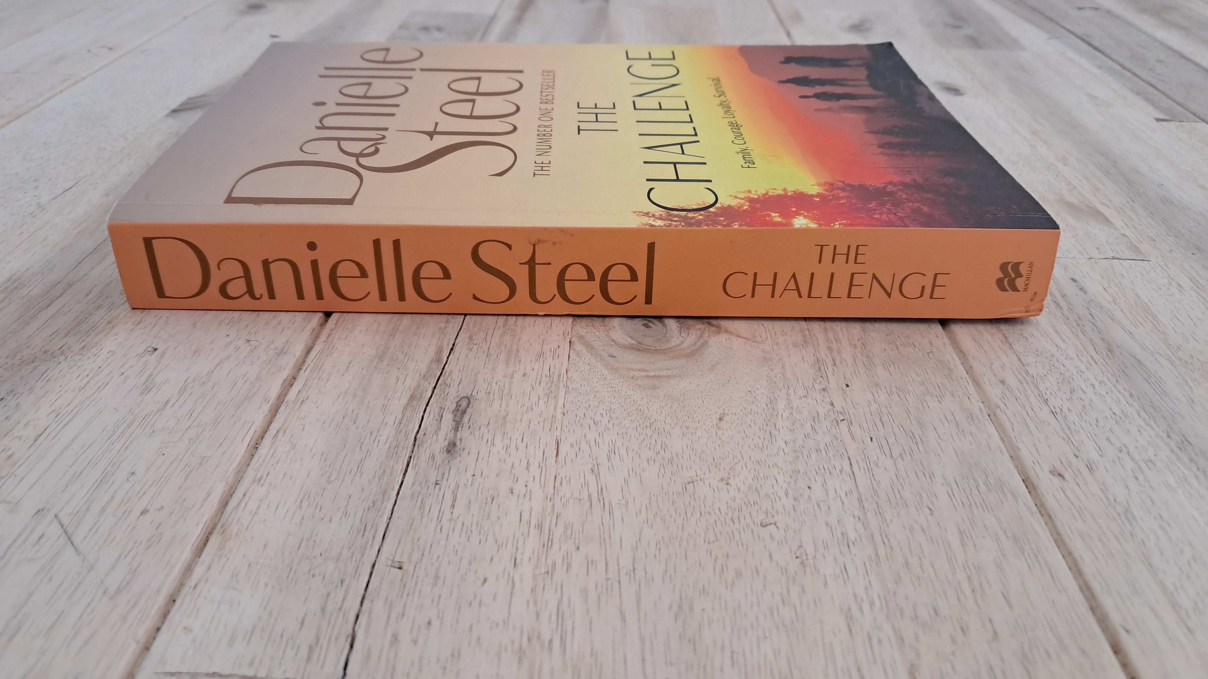 The Challenge – Danielle Steel