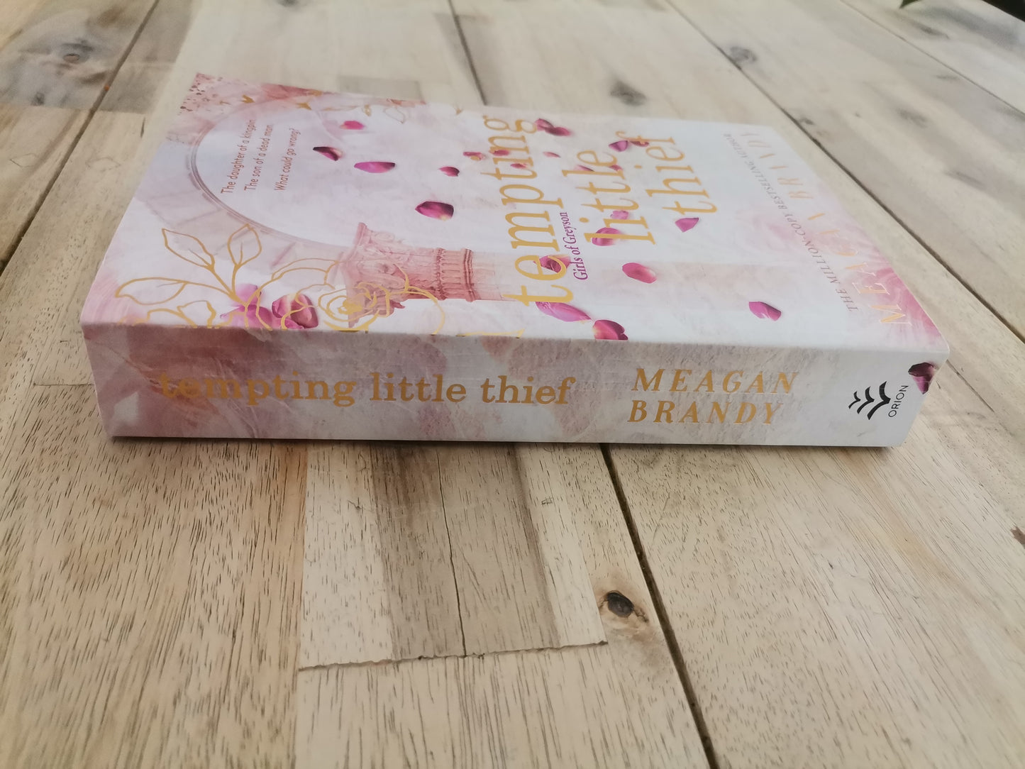 Tempting Little Thief – Meagan Brandy