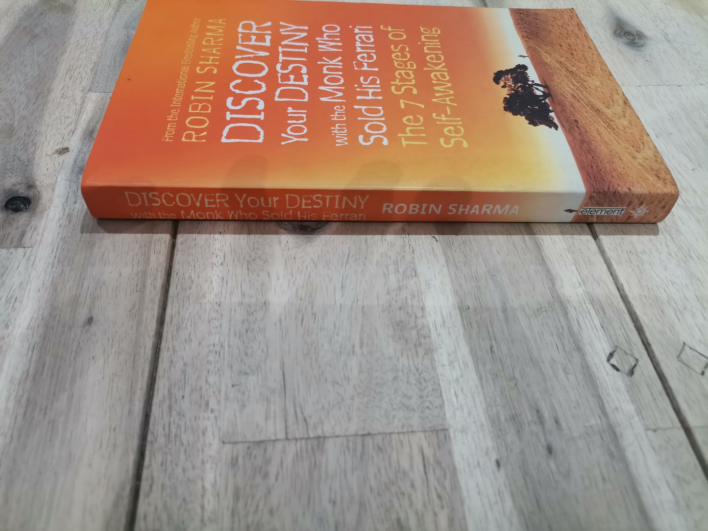 Discover Your Destiny with The Monk Who Sold His Ferrari by Robin Sharma