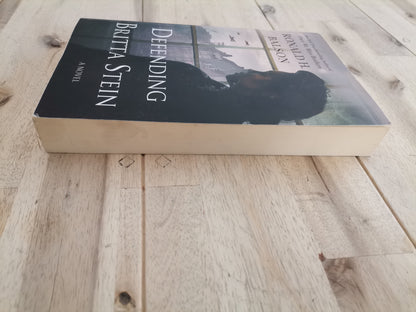Defending Britta Stein – Ronald H. Balson