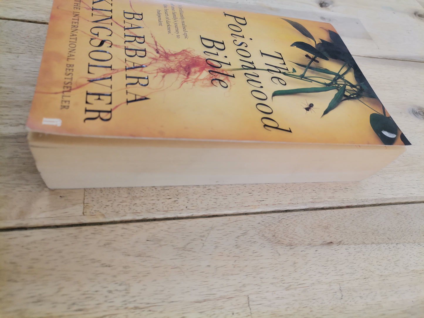 The Poisonwood Bible Barbara Kingsolver