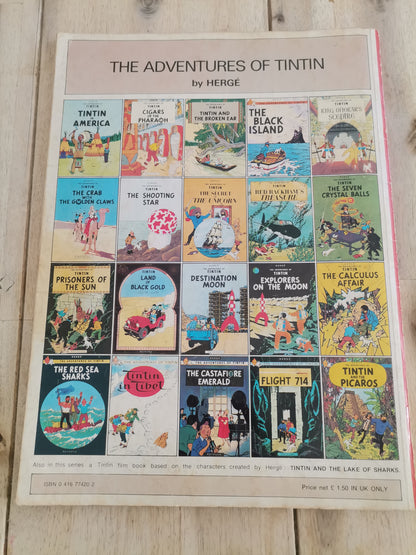 The Adventures Of TinTin Flight 714