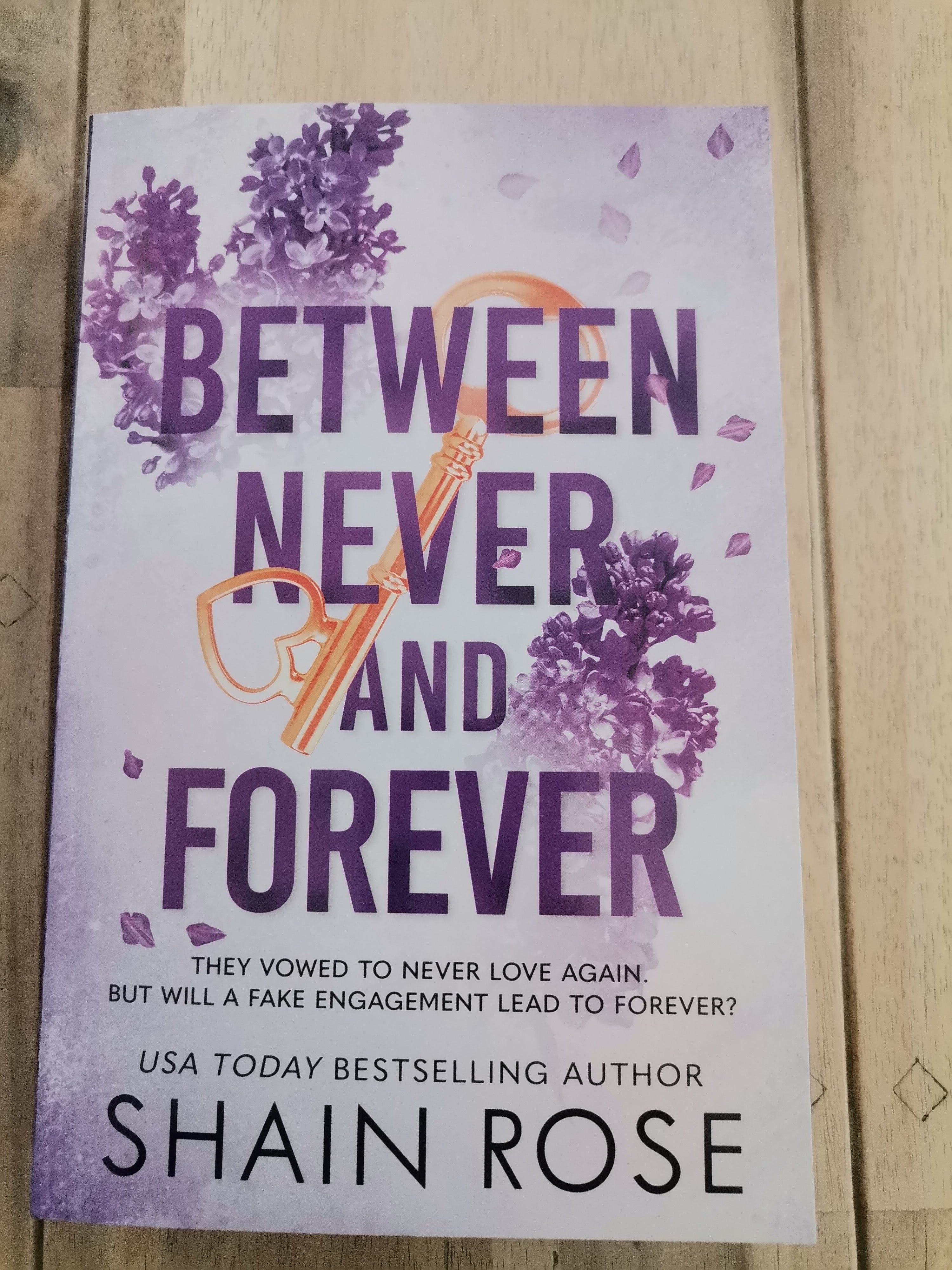 Between Never and Forever by Shaine Rose