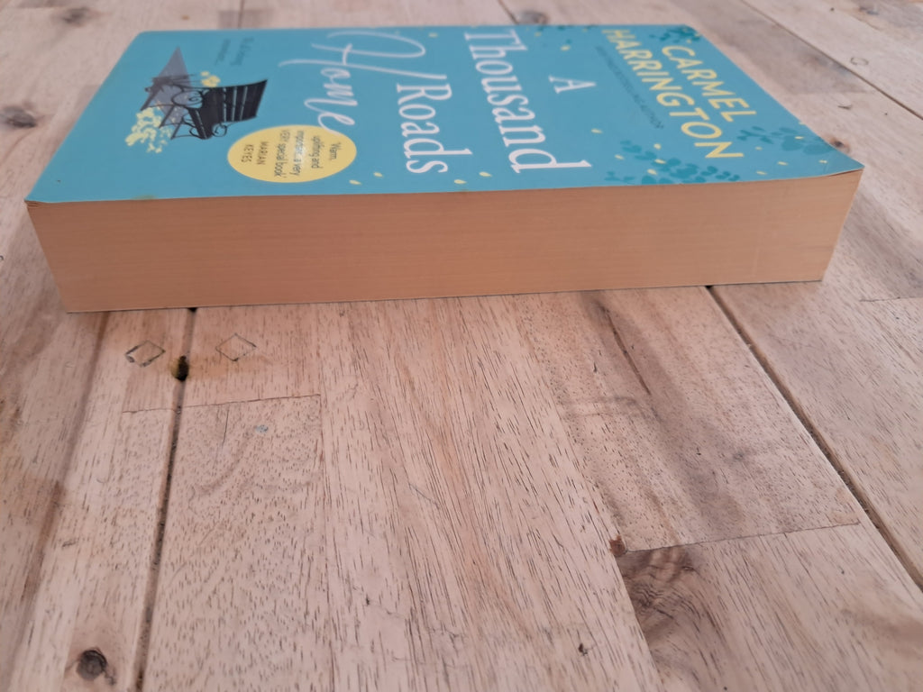 A Thousand Roads Home – Carmel Harrington