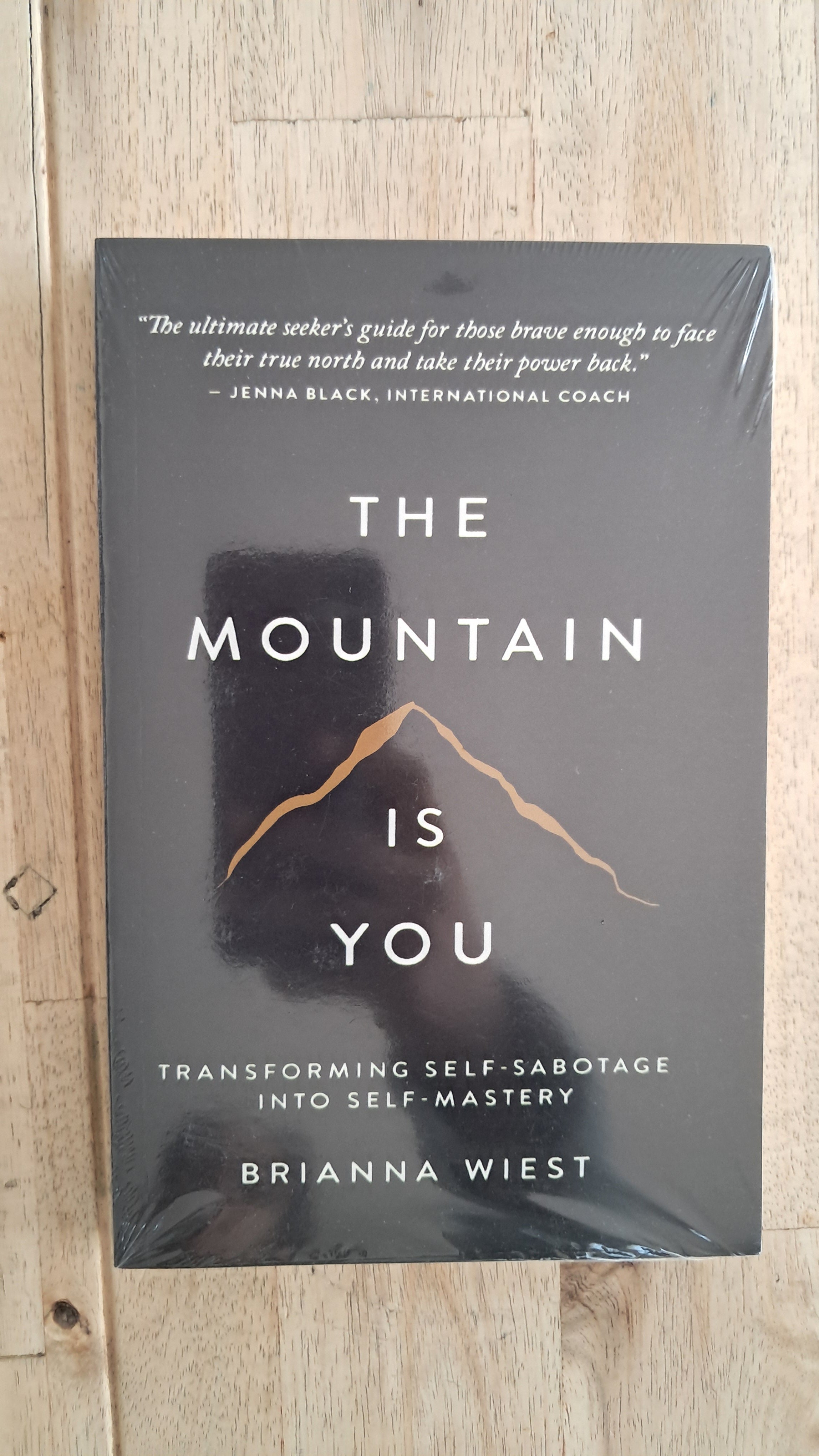 The Mountain Is You – Brianna West