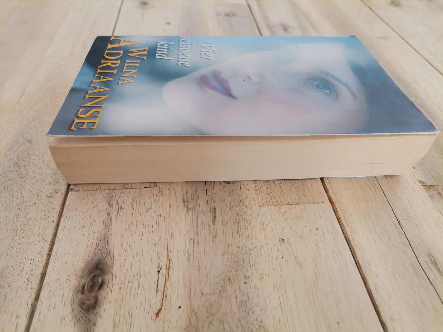 Vier Seisone Kind by Wilma Adriaanse