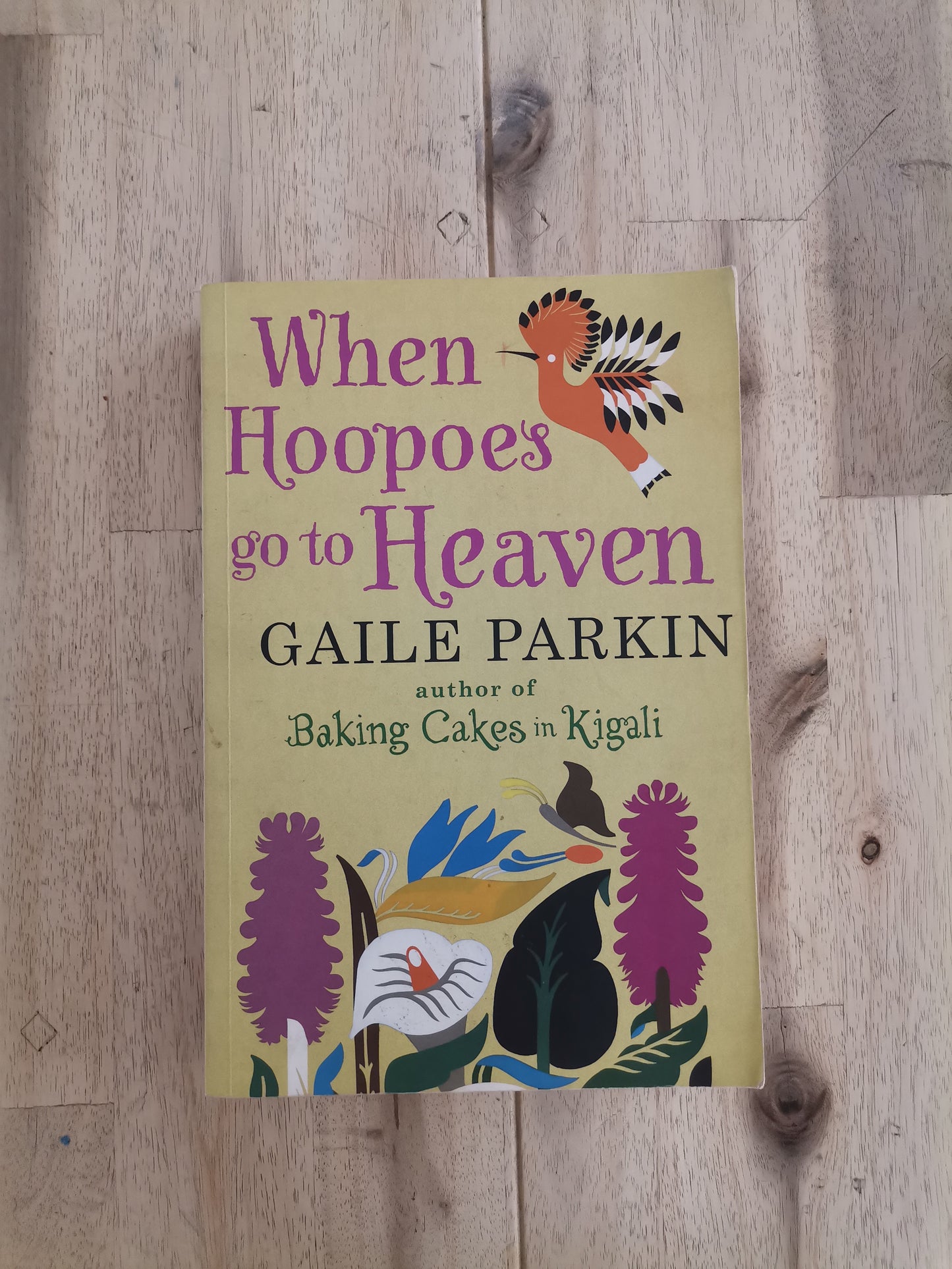 When Hoopoes Go to Heaven – Gaile Parkin