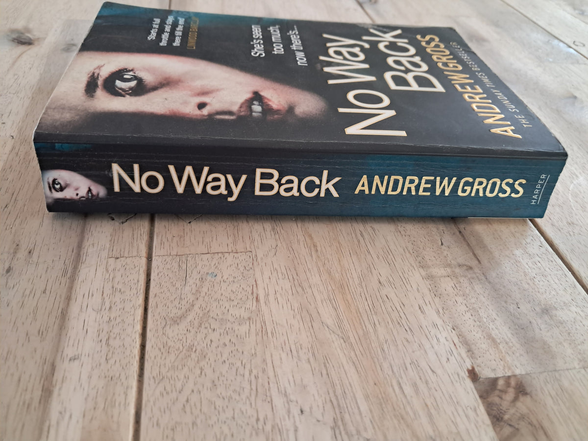 No Way Back – Andrew Gross