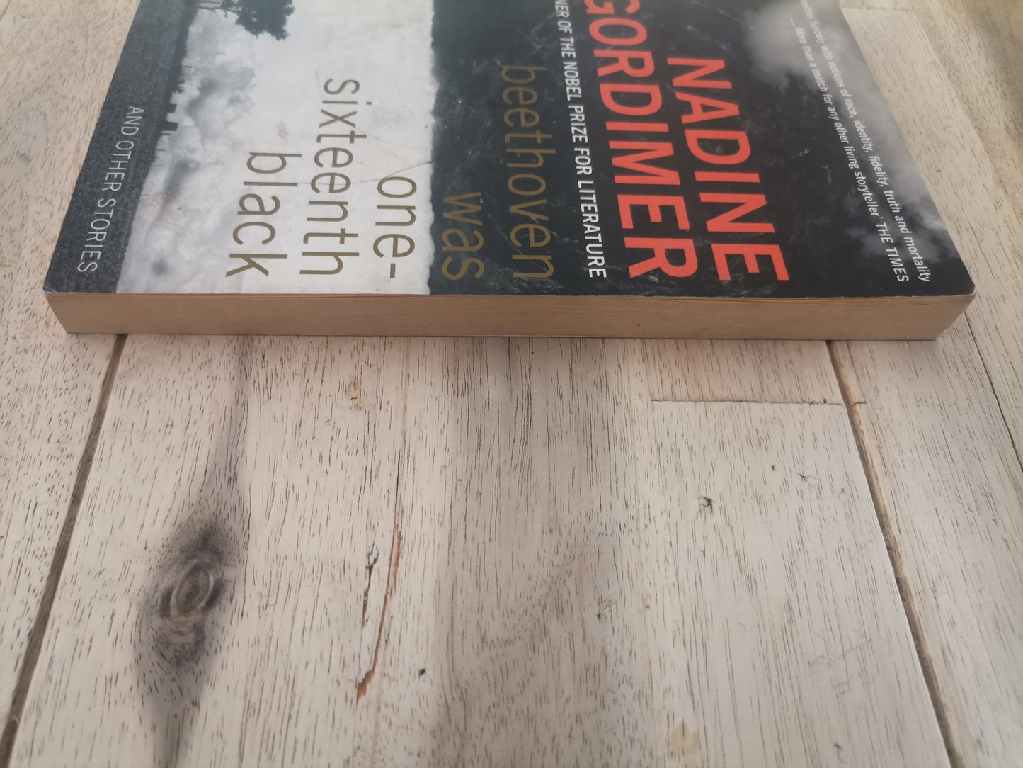 Beethoven Was One-Sixteenth Black by Nadine Gordimer