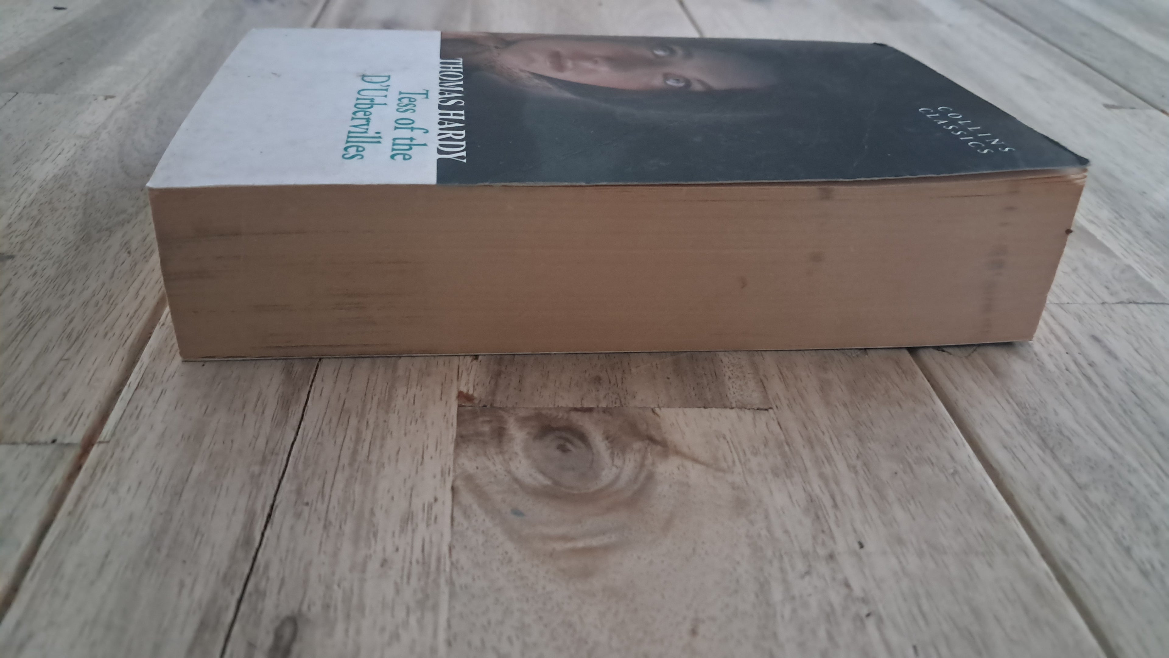 Tess of the d'Urbervilles – Thomas Hardy