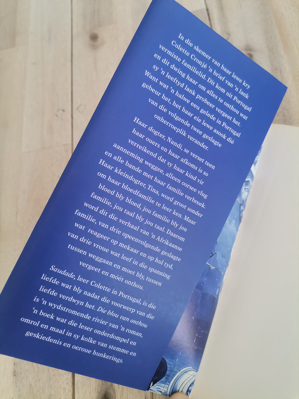 Die Blou van Onthou by Marita van der Vyver