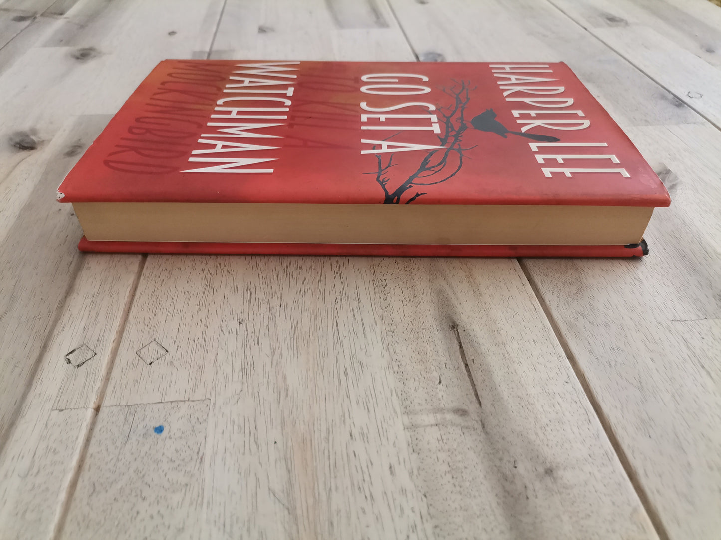 Go Set a Watchman – Harper Lee