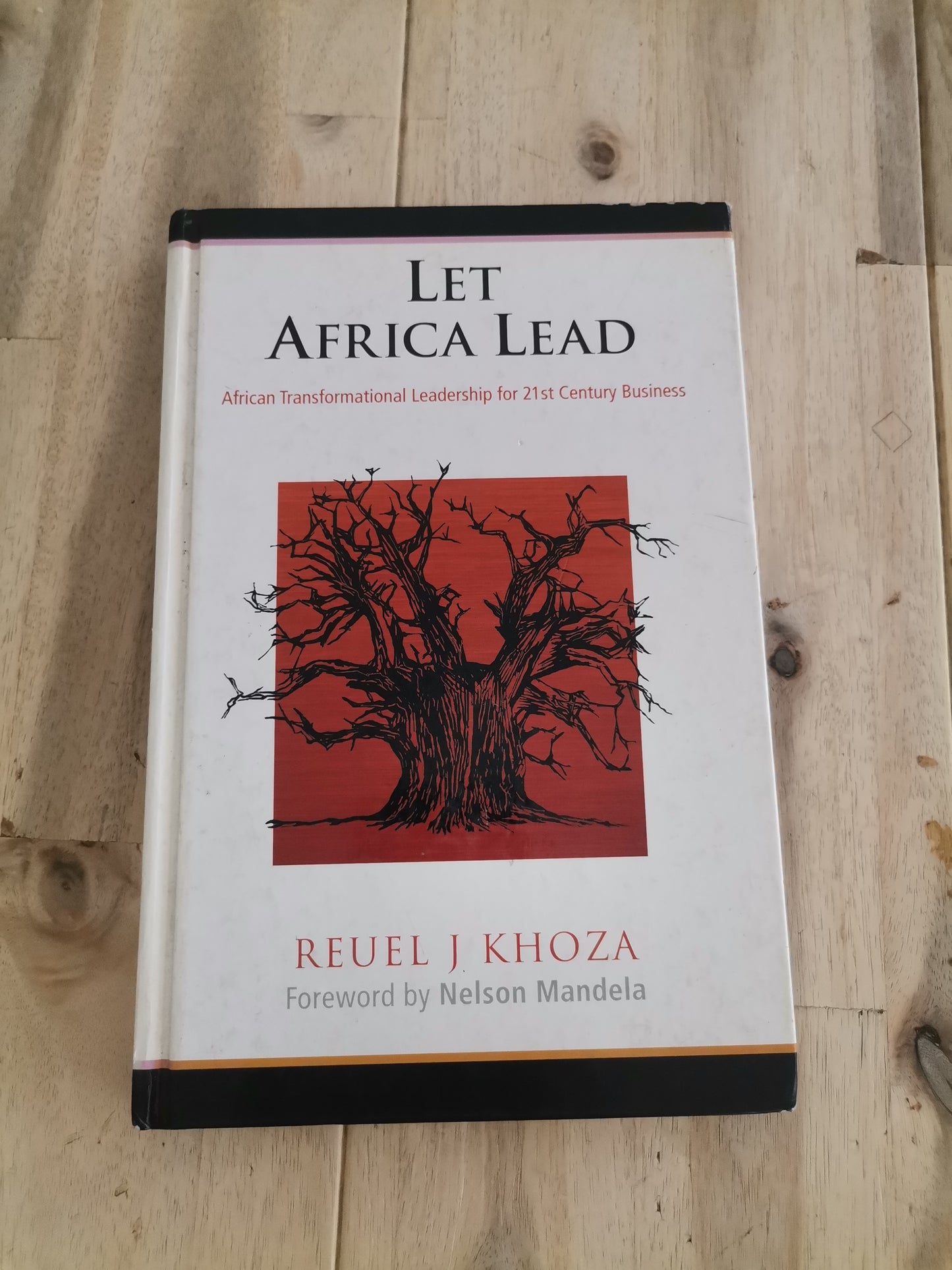 Let Africa Lead by Reuel J. Khoza
