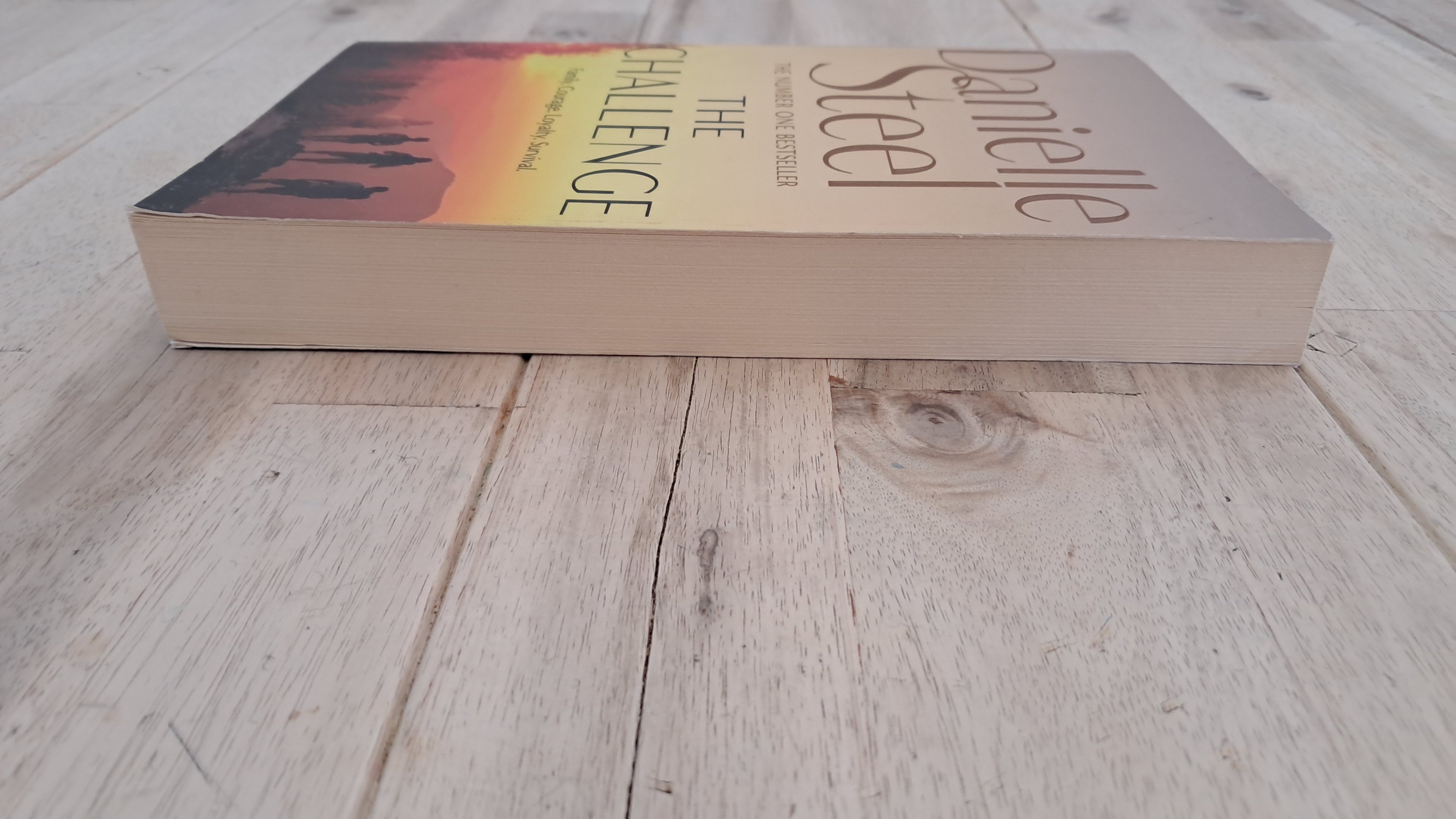 The Challenge – Danielle Steel
