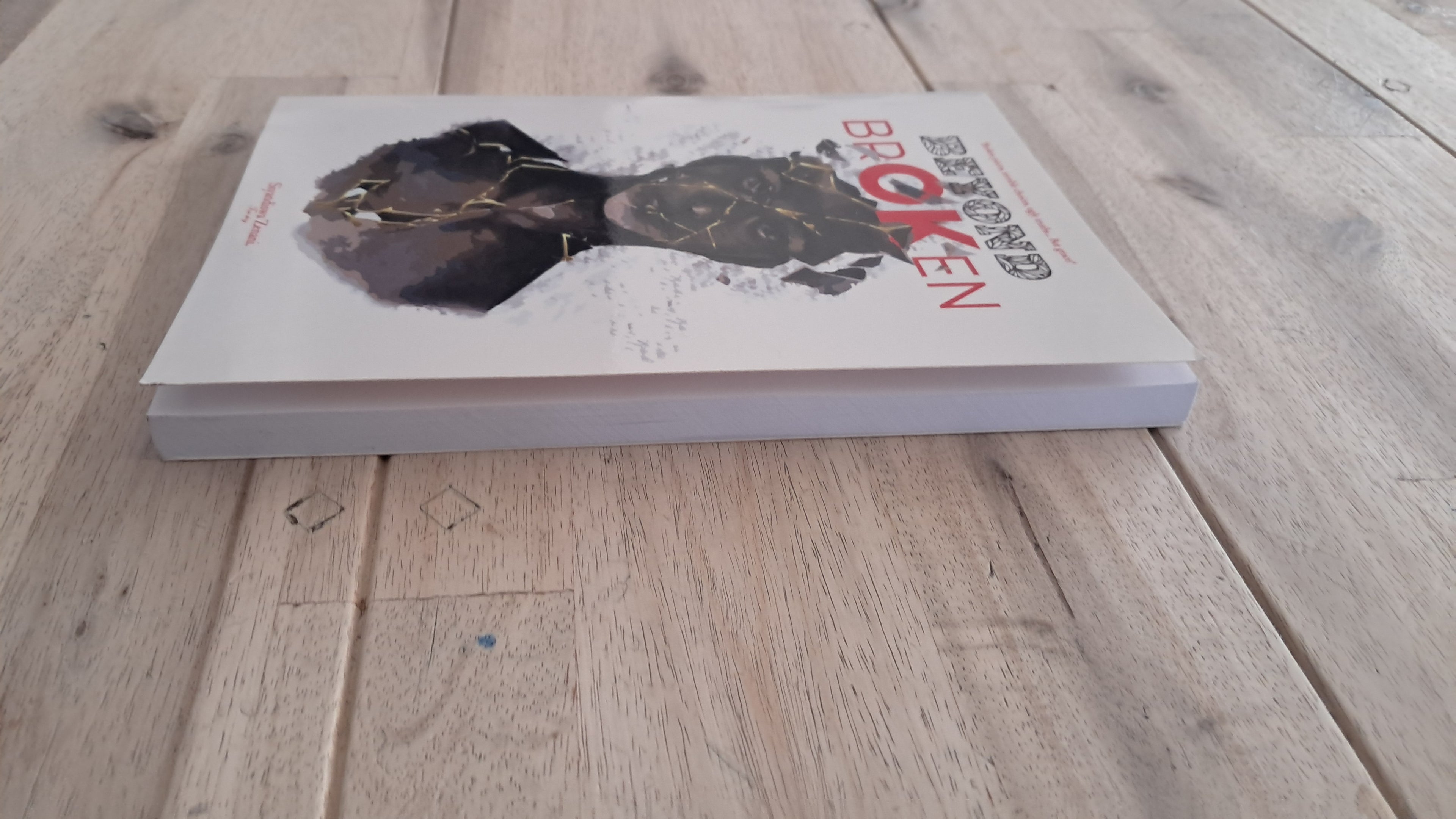 Beyond Broken – Siyandiswa Zenani