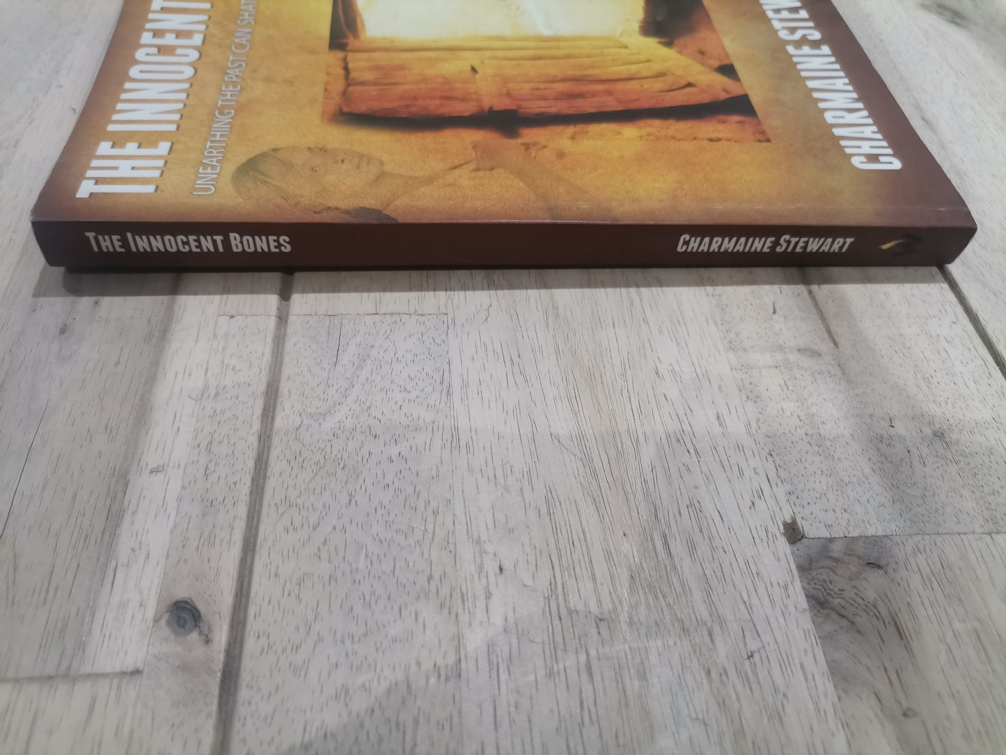 The Innocent Bones by Charmaine Stewart