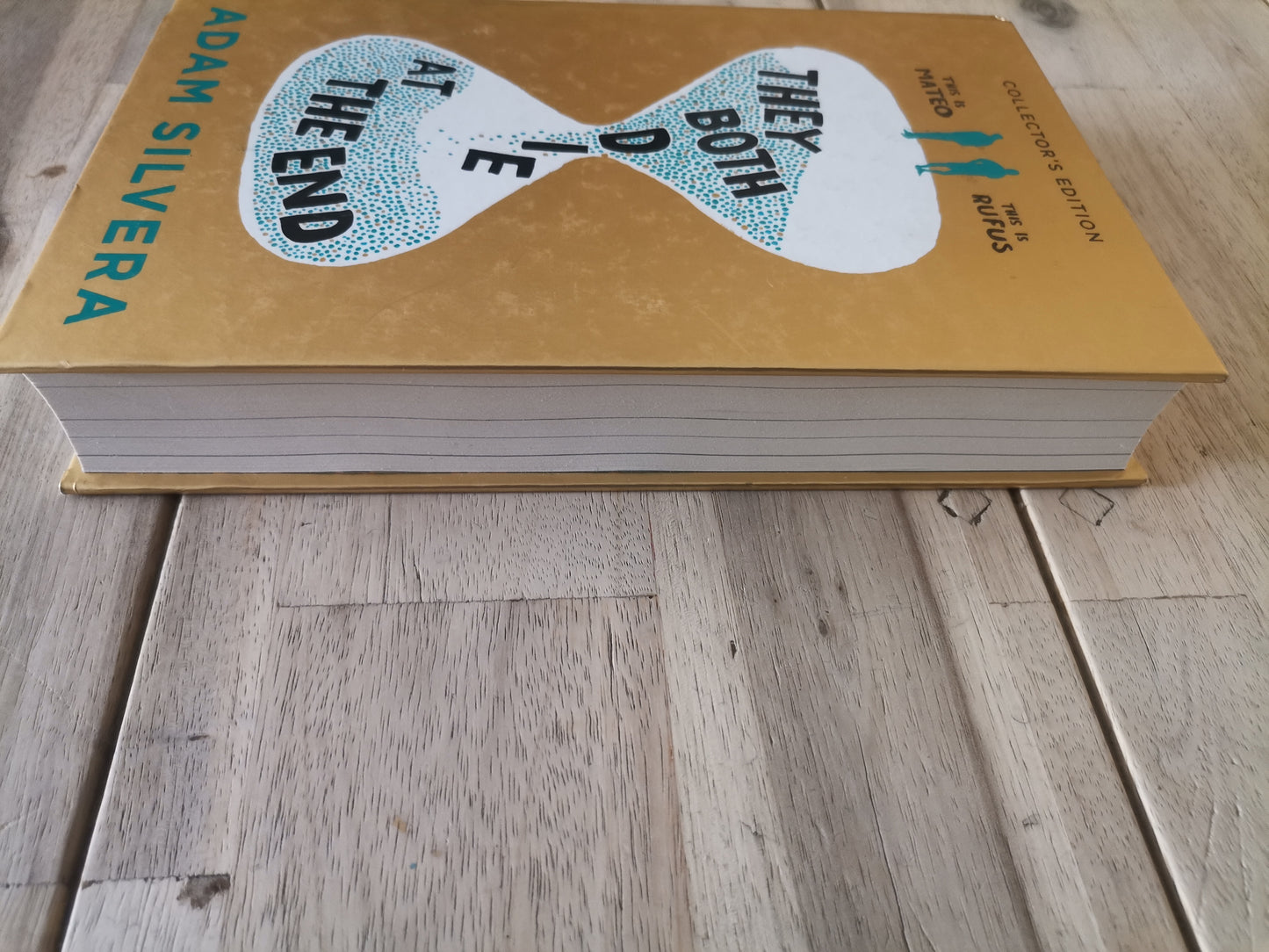 They Both Die at the End by Adam Silvera