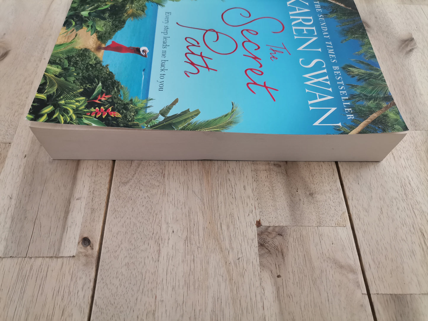 The Secret Path by Karen Swan