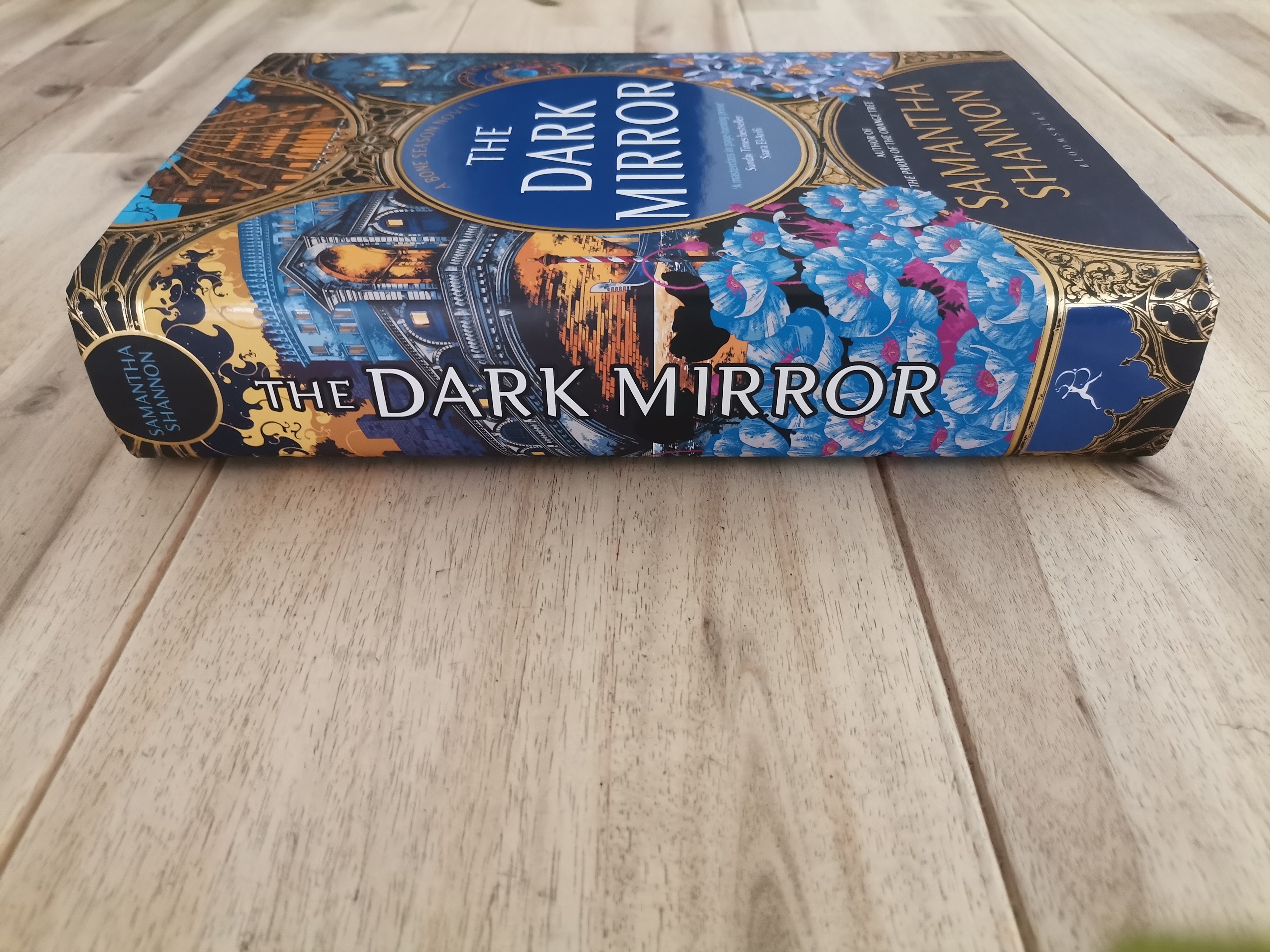 The Dark Mirror – Samantha Shannon
