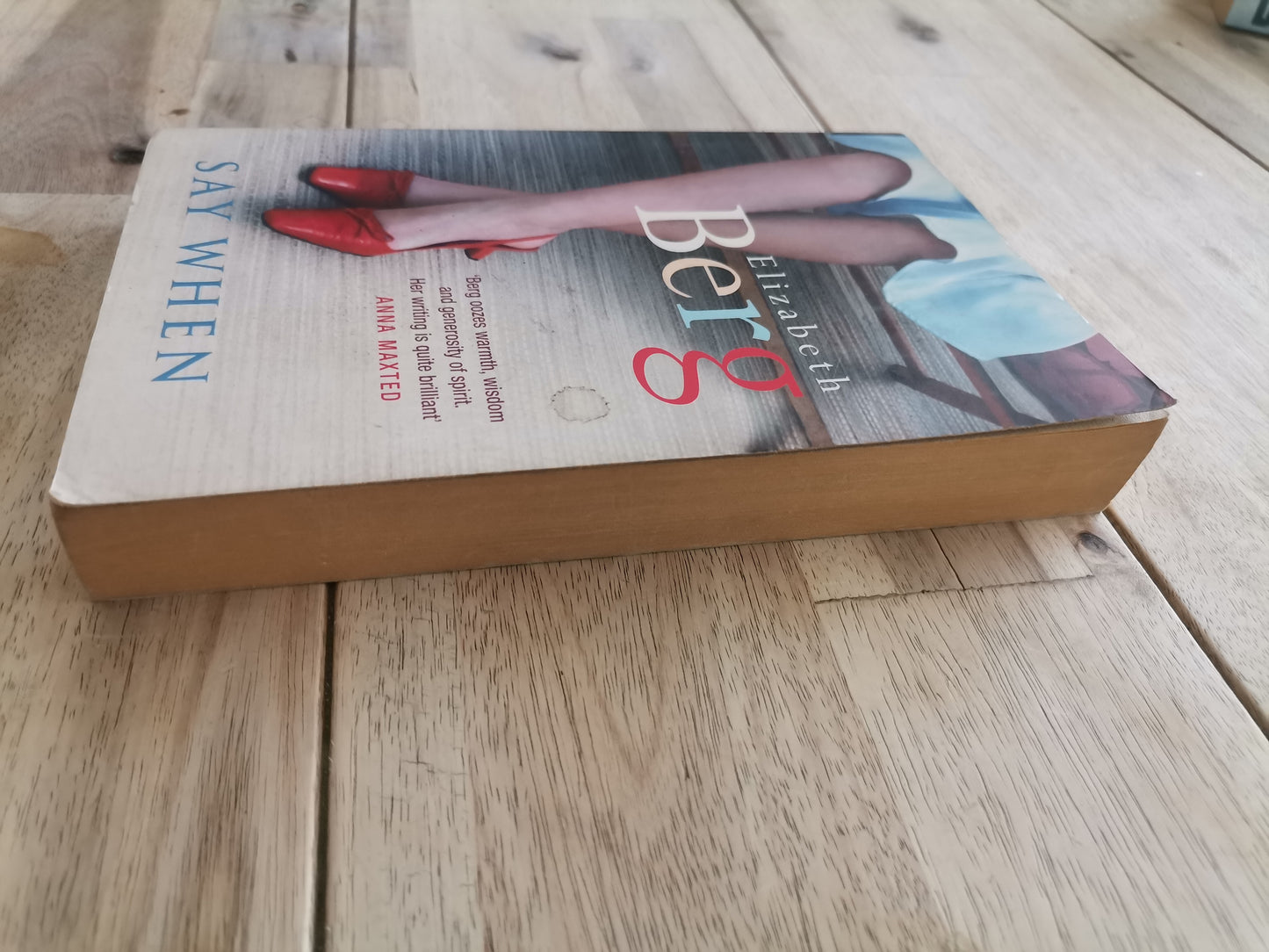Say When by Elizabeth Berg
