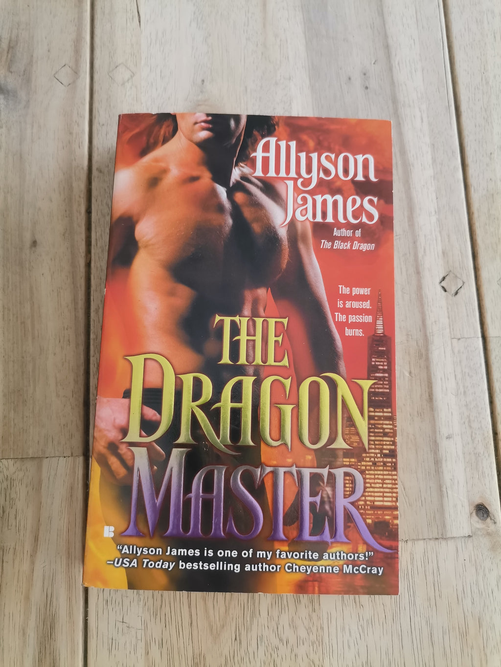 The Dragon Master by Allyson James