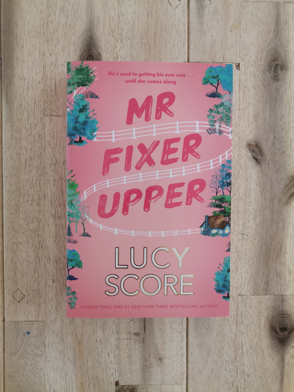 Mr. Fixer Upper – Lucy Score