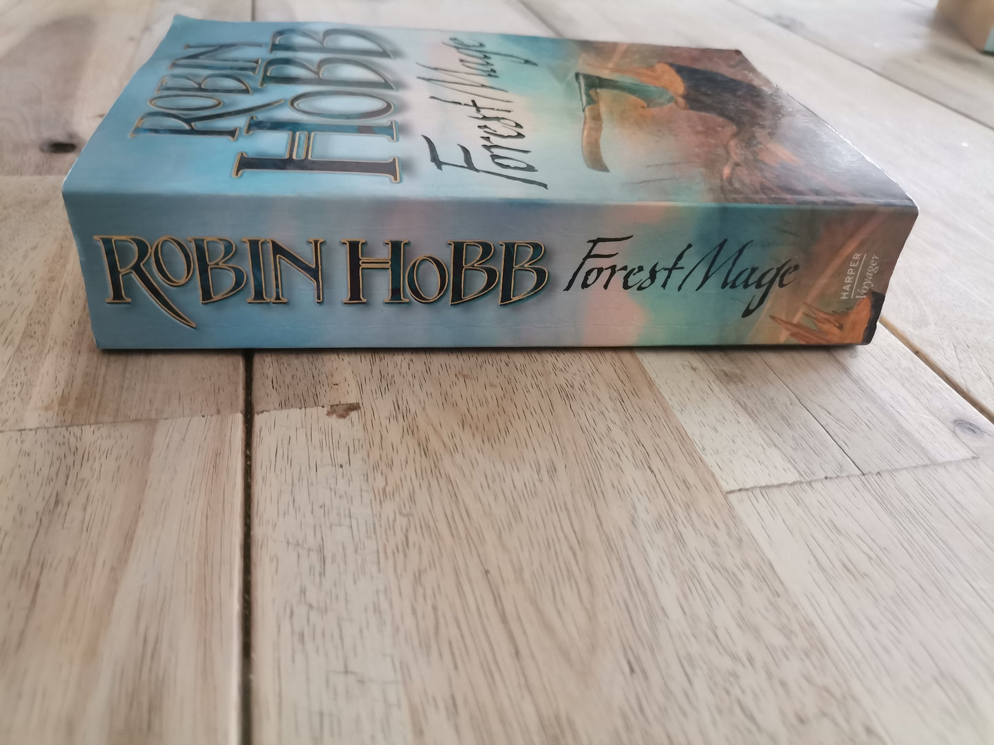 Forest Mage by Robin Hobb