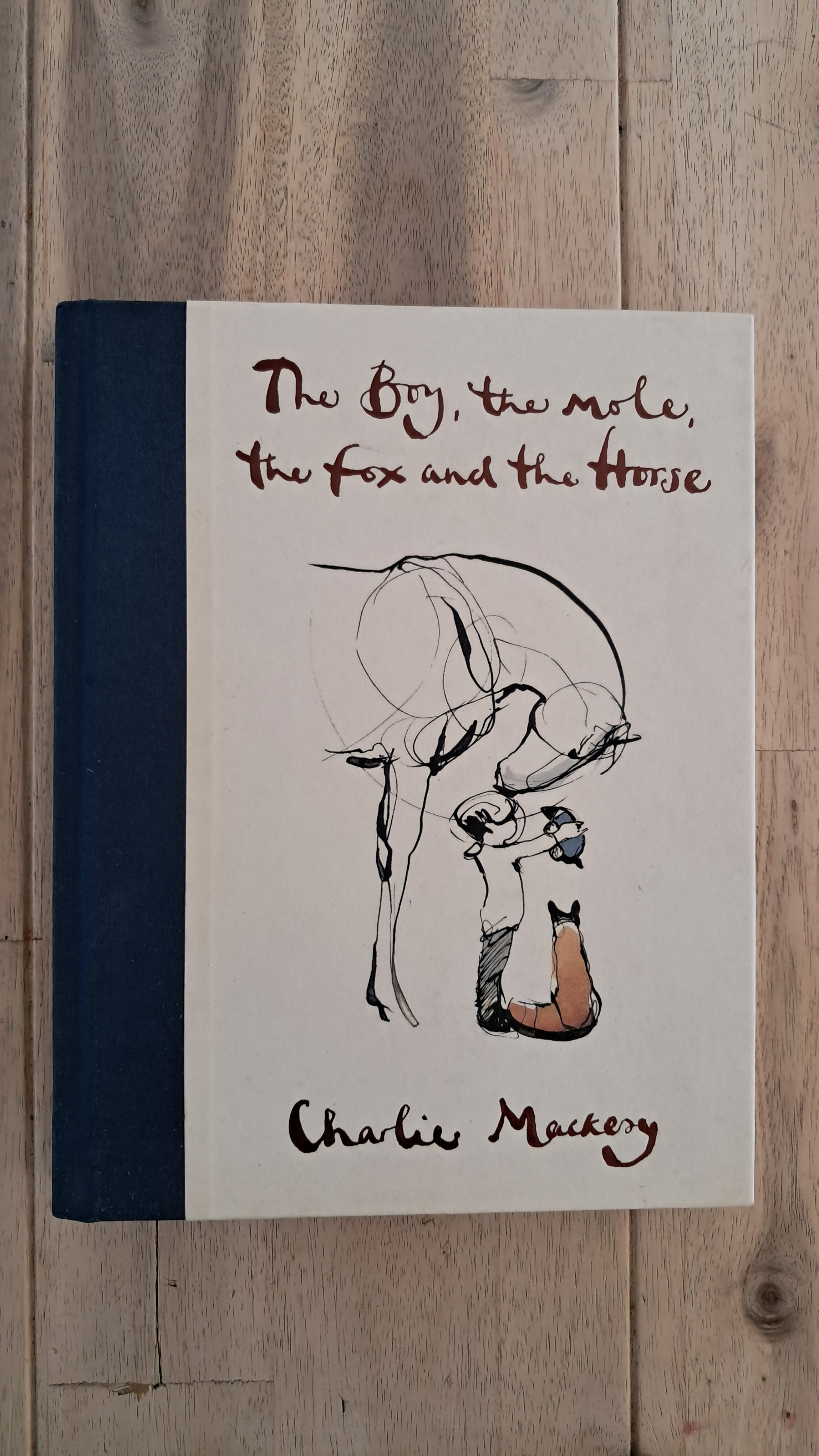 The Boy, the Mole, the Fox and the Horse – Charlie Mackesy