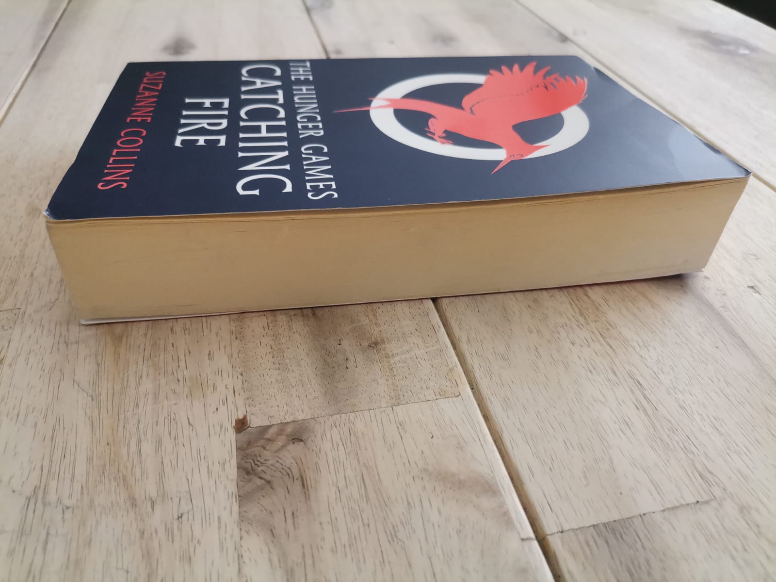 Catching Fire – Suzanne Collins