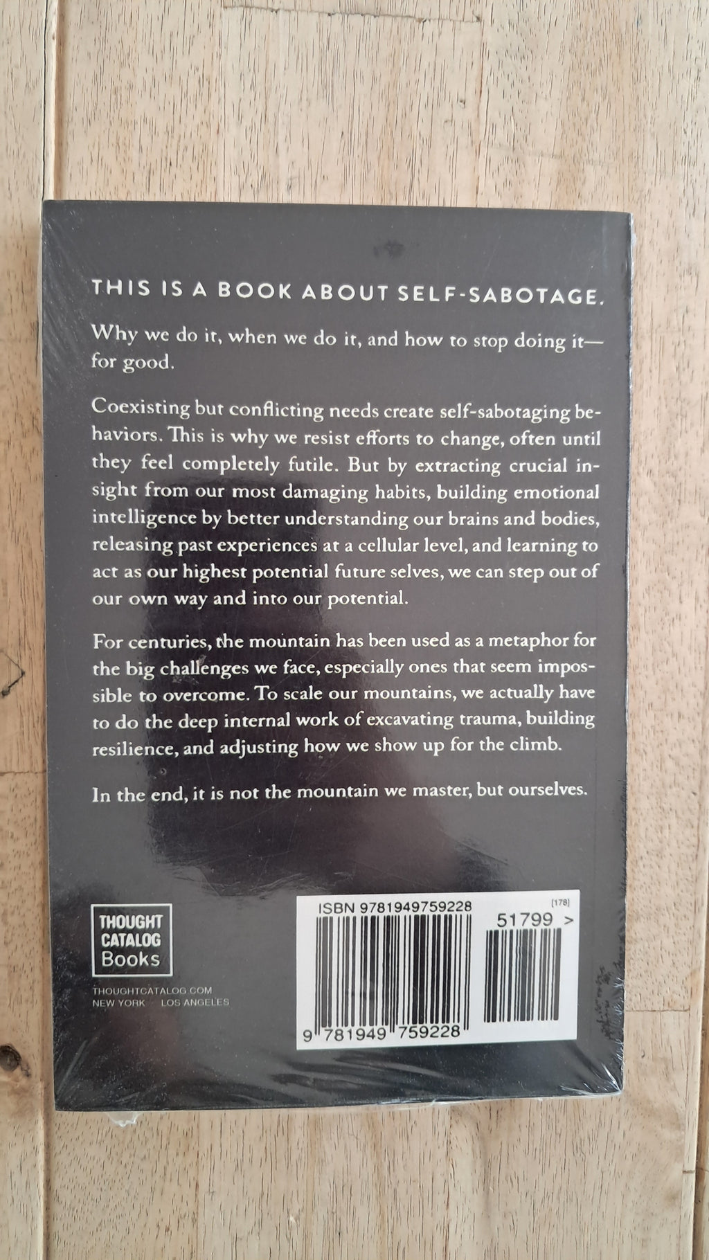 The Mountain Is You – Brianna West