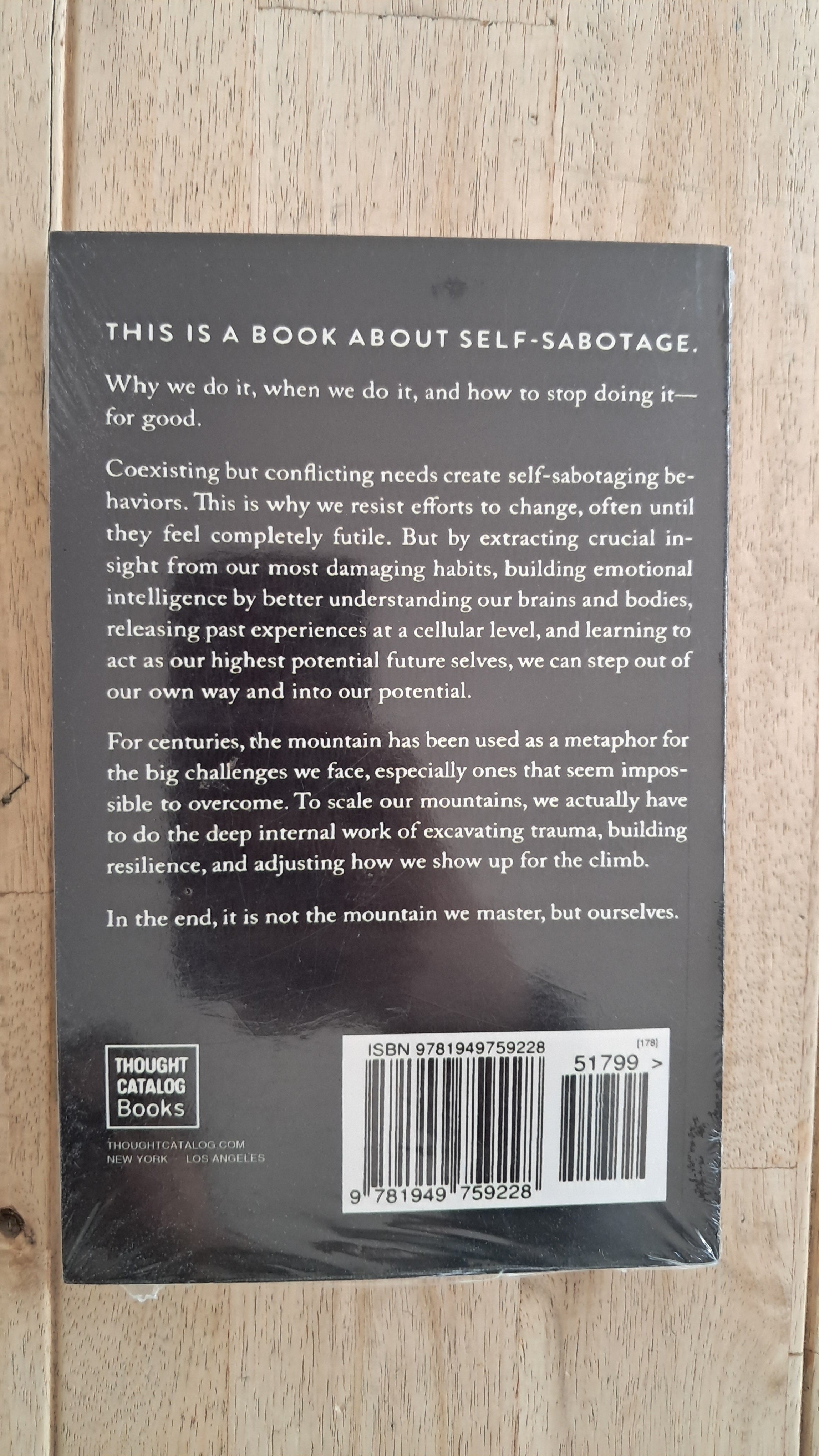 The Mountain Is You – Brianna West
