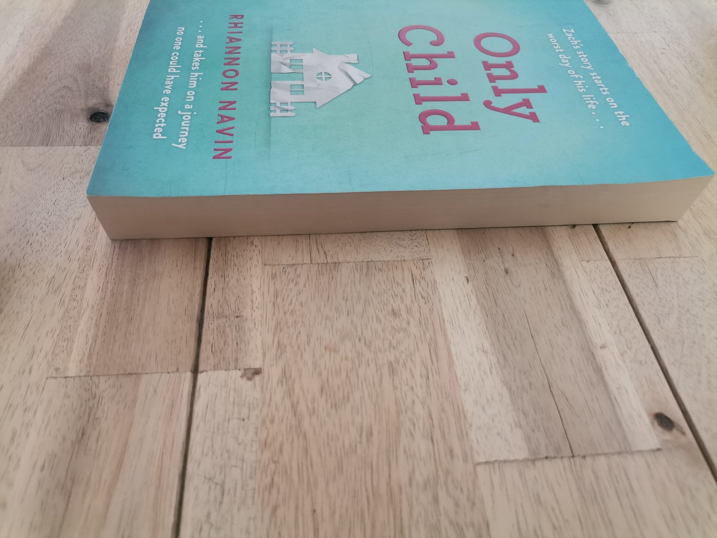 Only Child by Rhiannon Navin