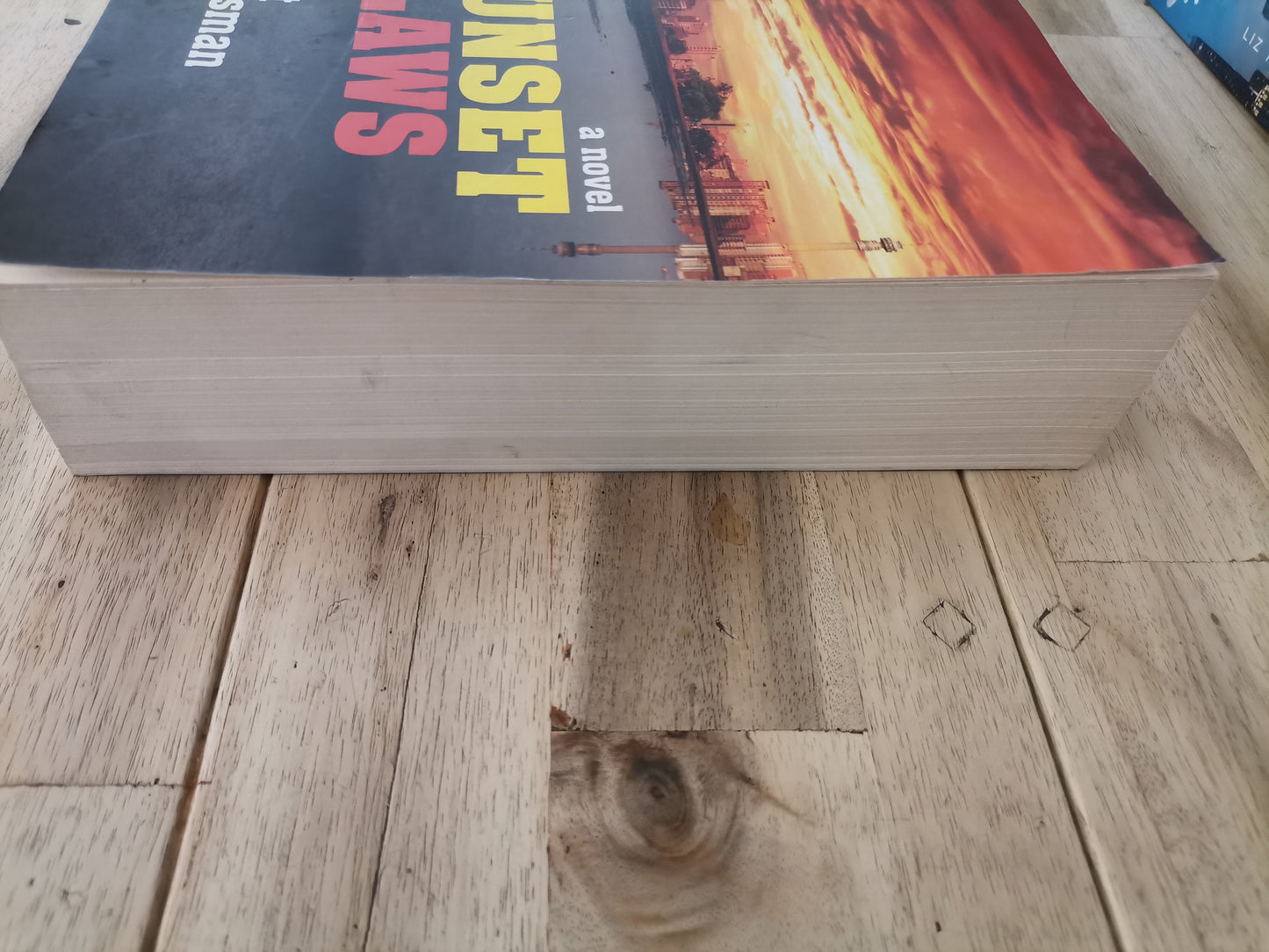 Sunset Claws: A Chronicle of a Generation (Books 1–3) – Brent Meersman