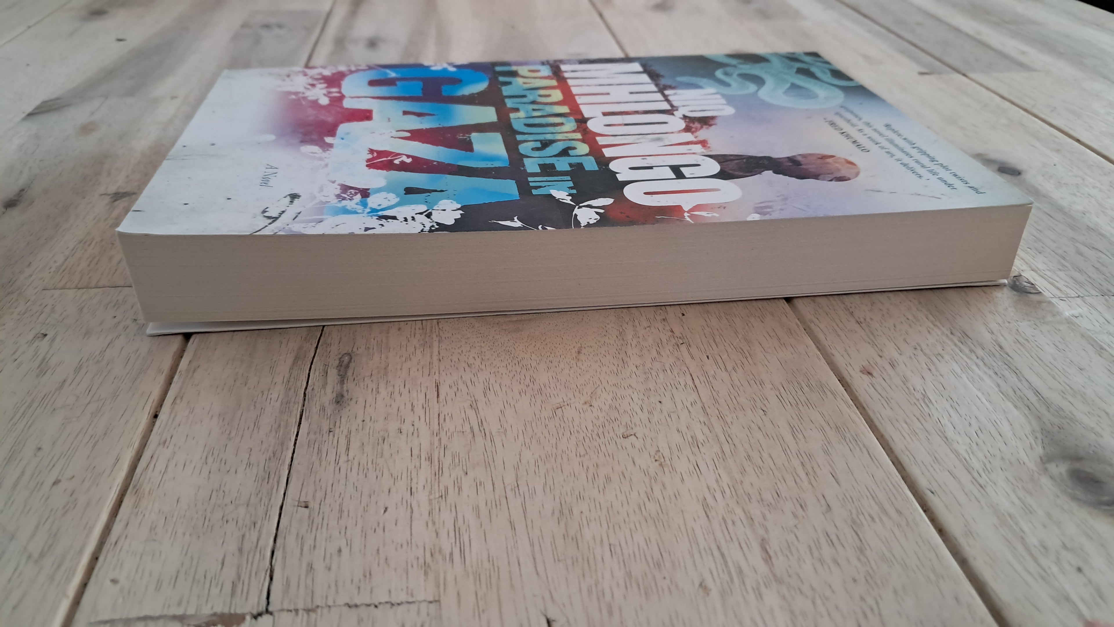 Paradise in Gaza – Niq Mhlongo