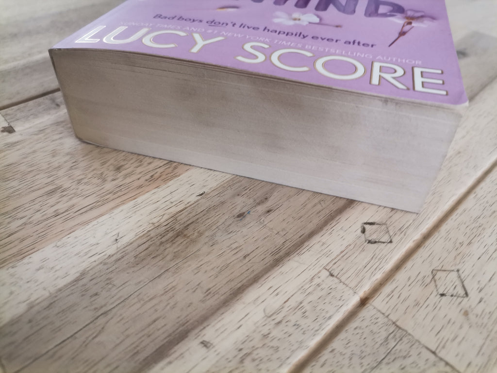Things We Left Behind – Lucy Score
