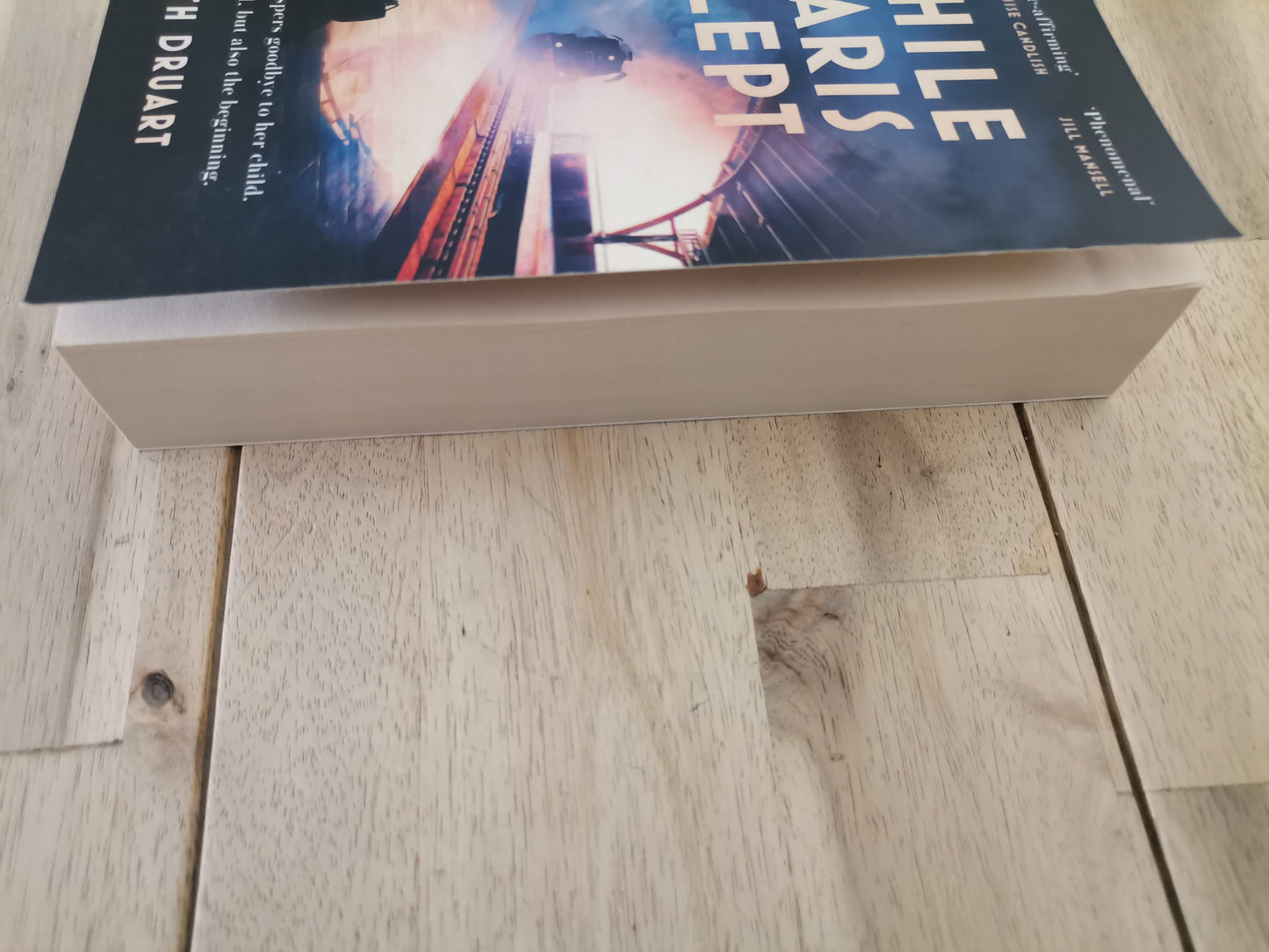 While Paris Slept by Ruth Druart