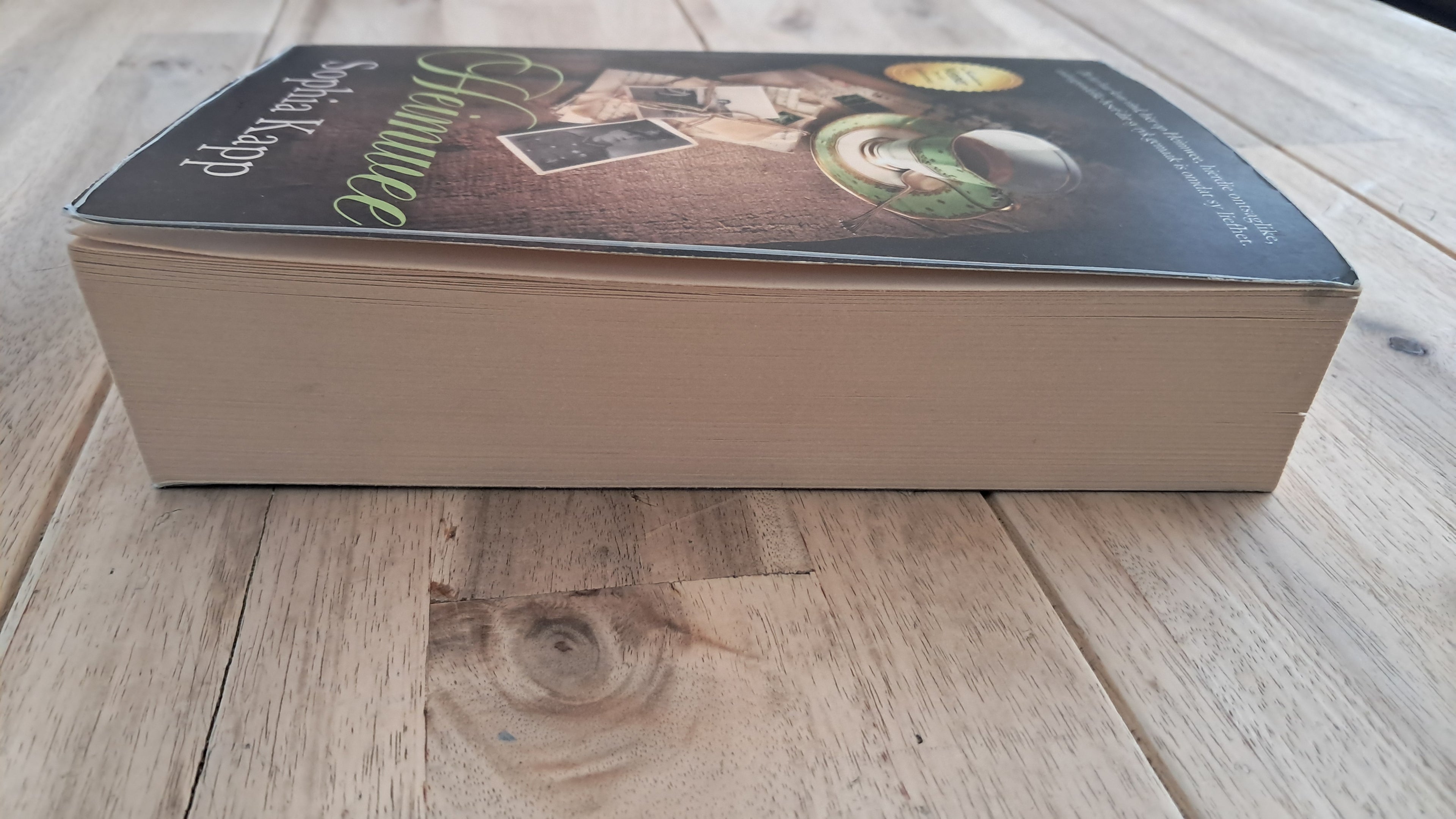 Heimwee – Sophia Kapp