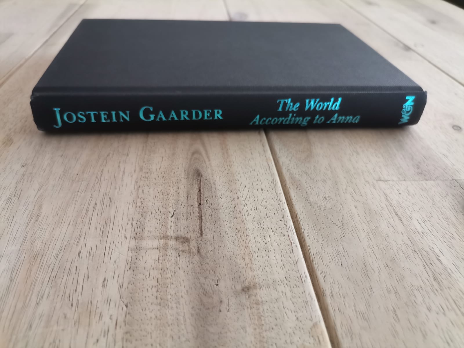 The World According to Anna – Jostein Gaarder