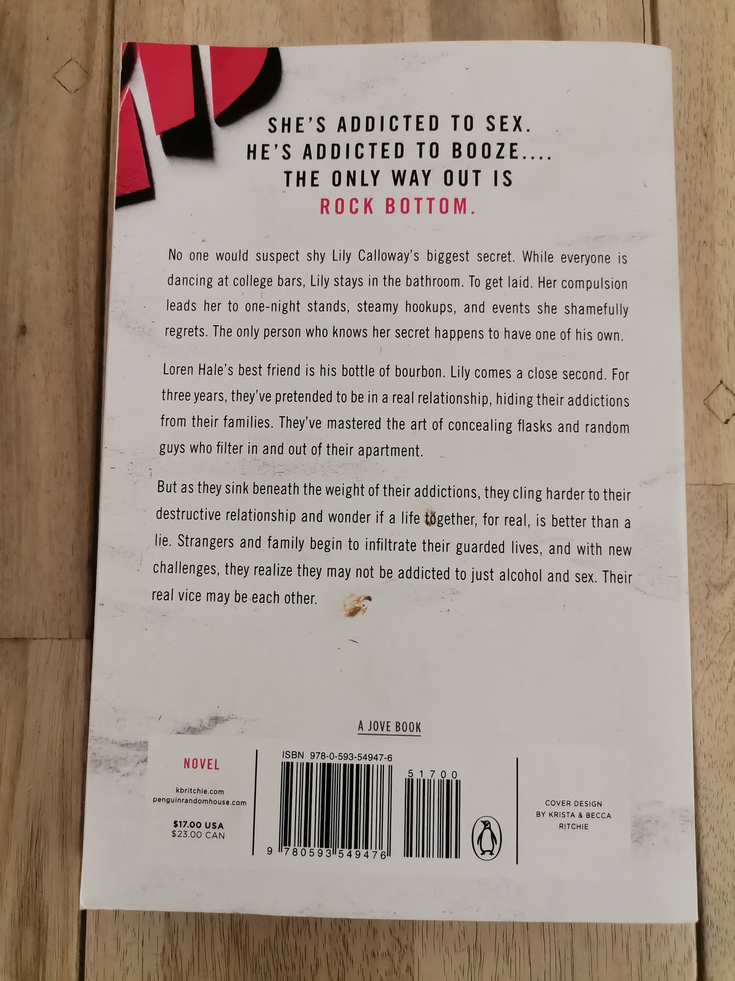 Addicted to You by Krista and Becca Ritchie - Paperback