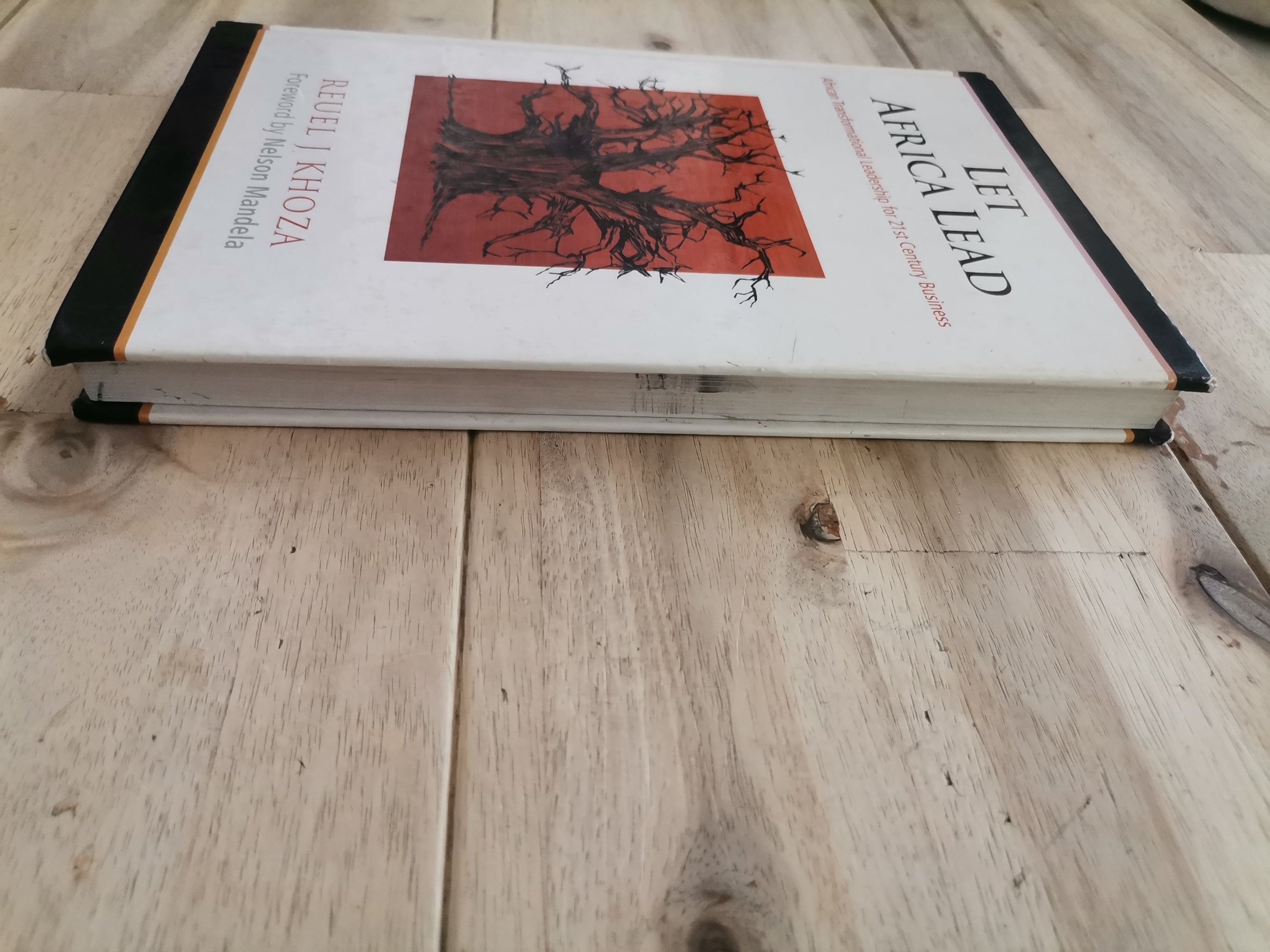 Let Africa Lead by Reuel J. Khoza