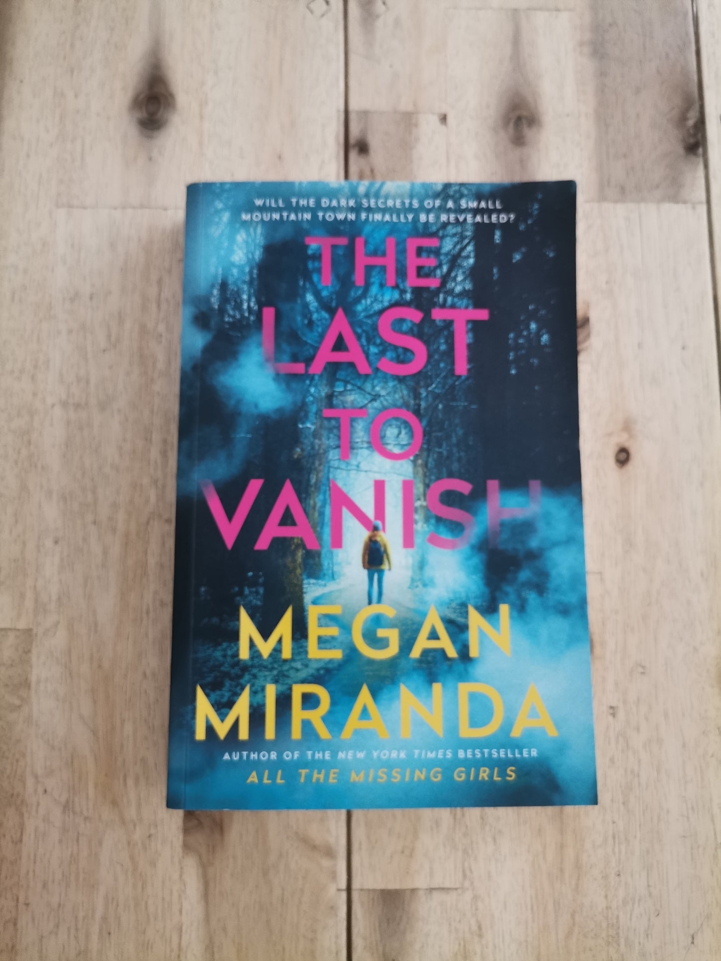 The Last to Vanish – Megan Miranda