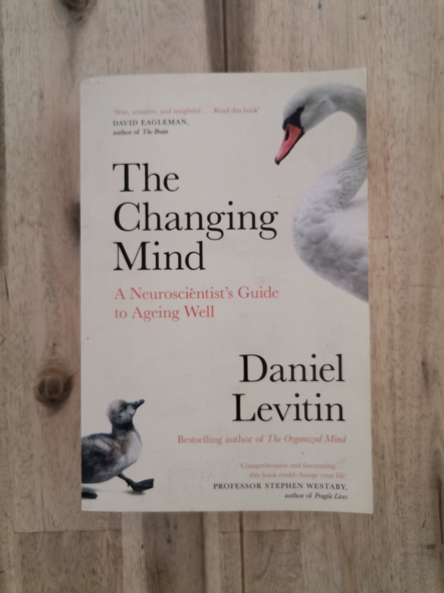 The Changing Mind – Daniel Levitin