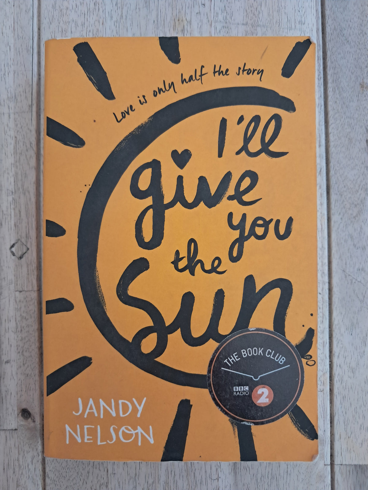 I'll Give You the Sun – Jandy Nelson