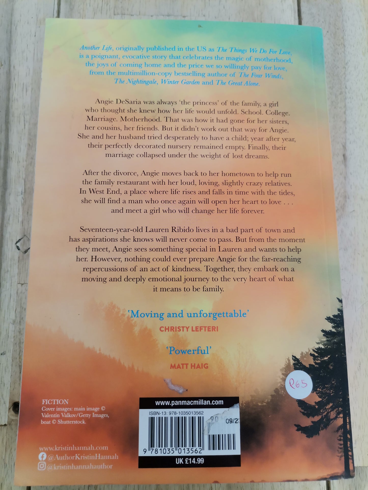 Another Life Kristin Hannah