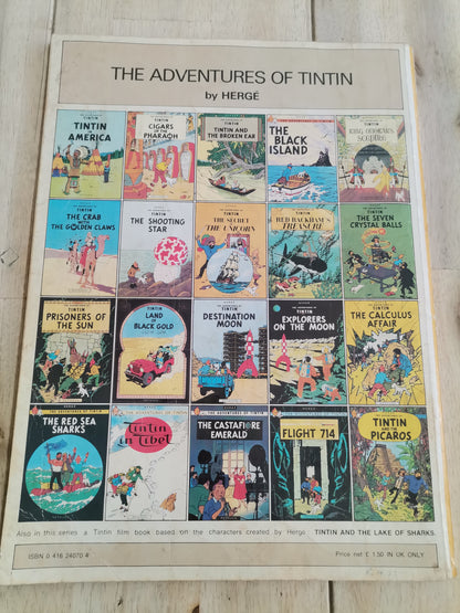 The Adventures Of TinTin The Shooting Star