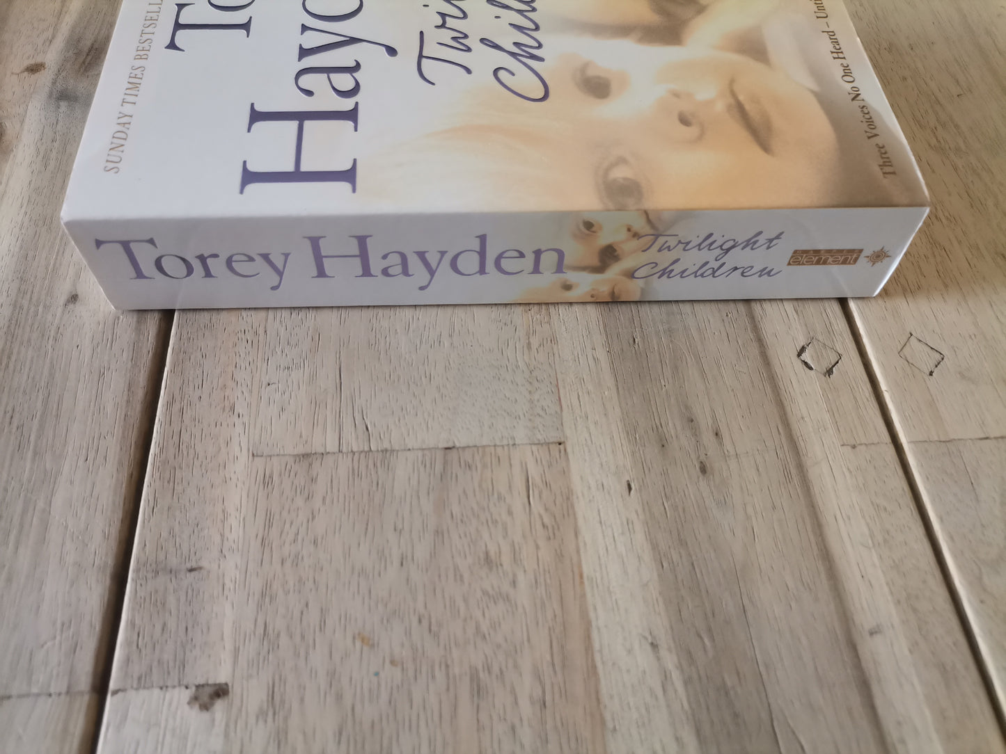 Twilight Children by Torey Hayden