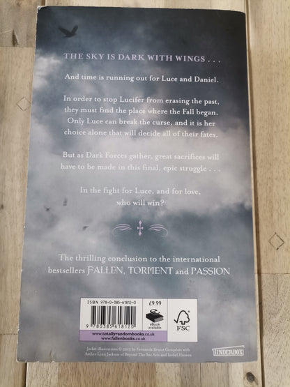 Rapture by Lauren Kate