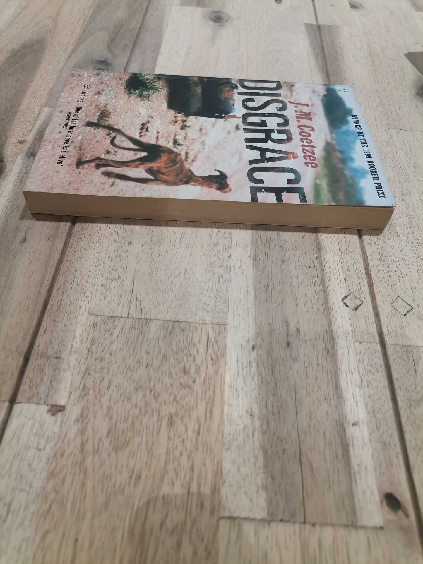 Disgrace by J.M. Coetzee